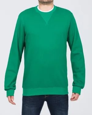 2t Dale Regular Fit Tall Sweatshirt (green) calm mode