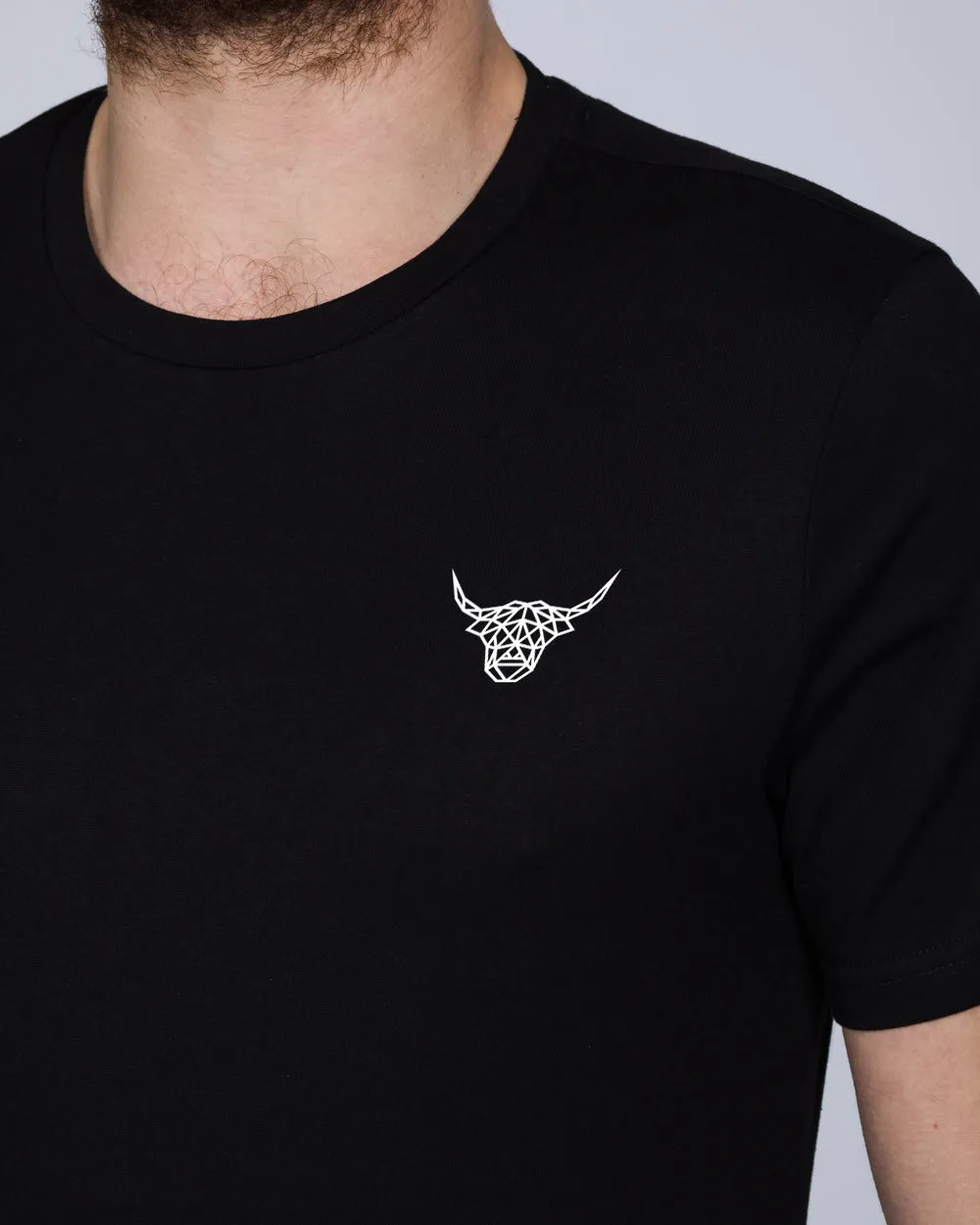 2t Printed Tall T-Shirt (highland) eco touch
