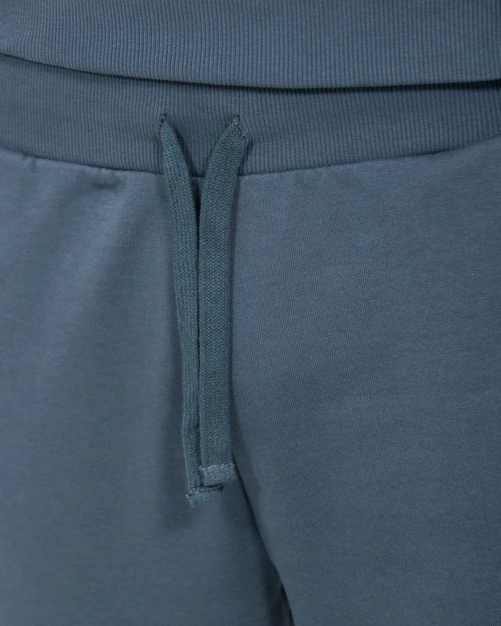 2t Rowan Tall Regular Fit Joggers (blue) professional cut