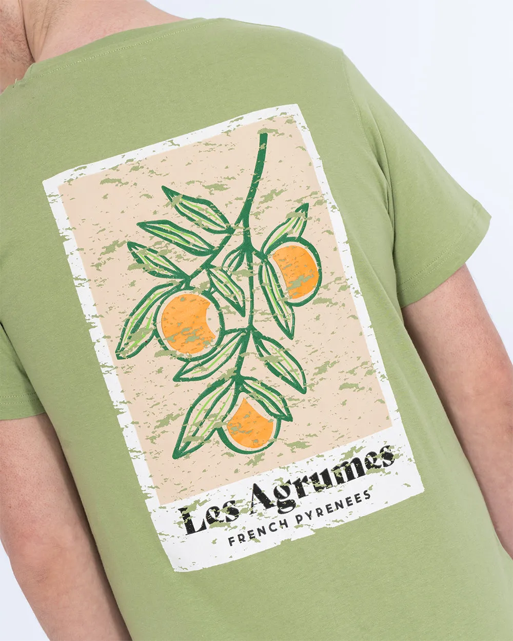 2t Tall Les Agrumes T-Shirt (green) cozy touch