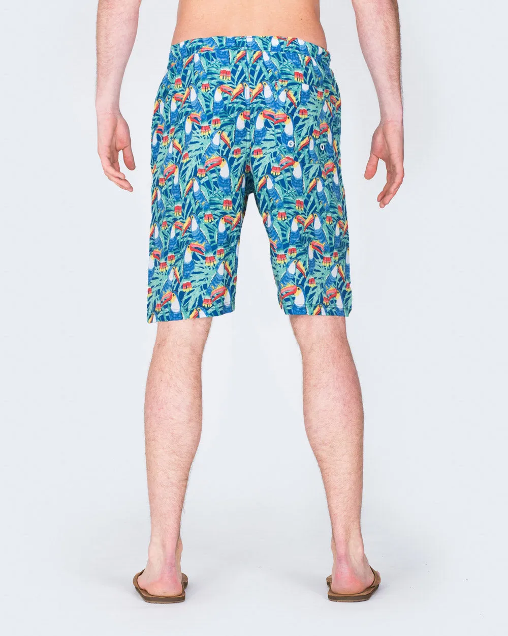 2t Tall Parrot Print Swim Shorts (blue) everyday versatile