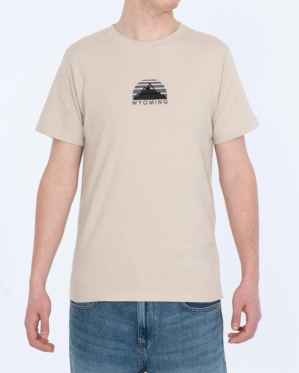 2t Tall Wyoming T-Shirt (taupe) autumn breeze