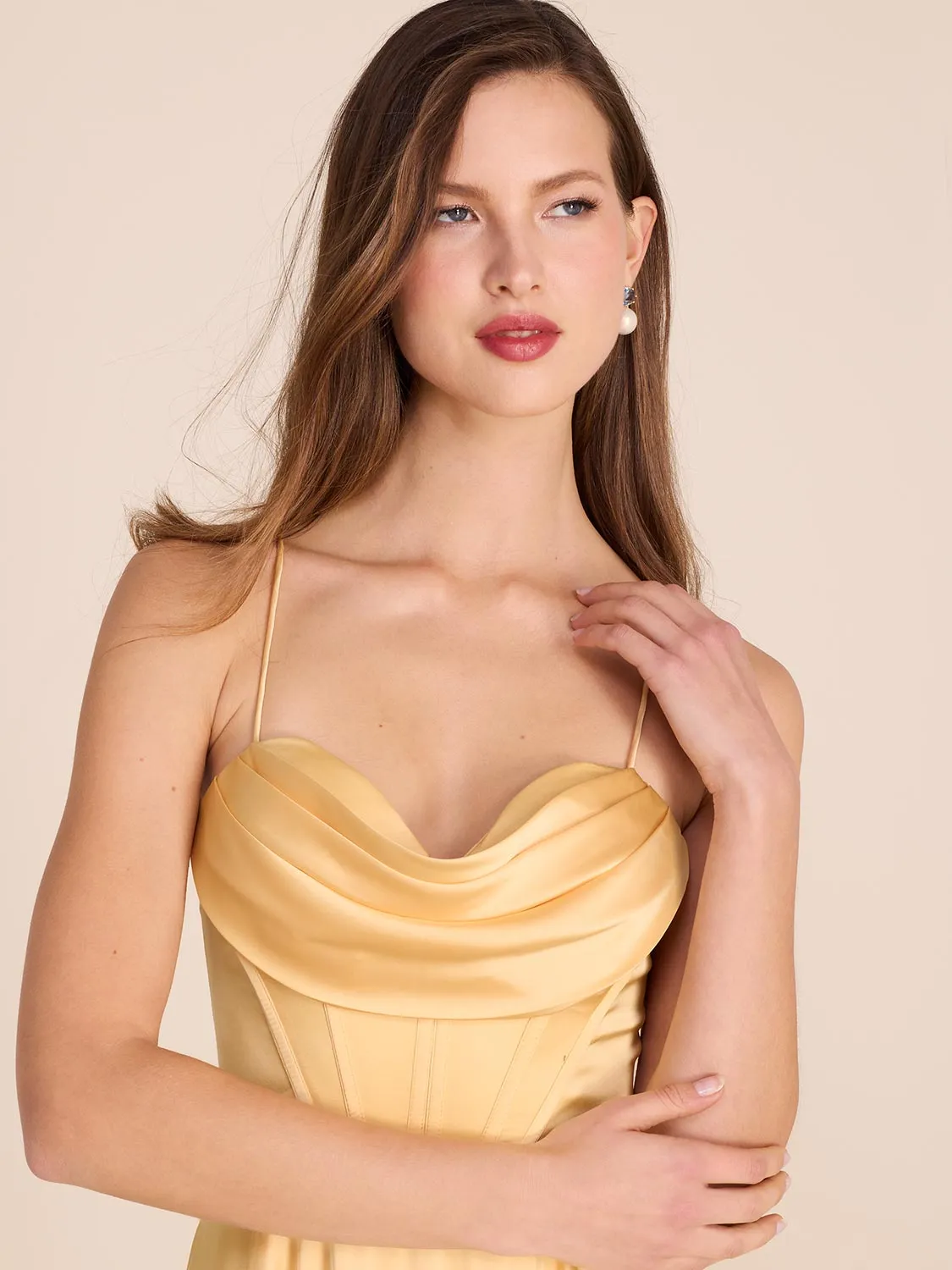 Bustier Satin Gown family gathering