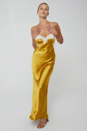 Celine Dress in Gold social gathering