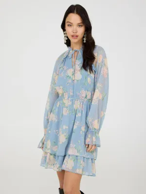 Floral Print Chiffon Mini Dress With Ruffle Details natural charm