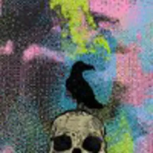 Grateful Dead x PEARL iZUMi Women's Wanderer PRO Tall Socks sleep aid