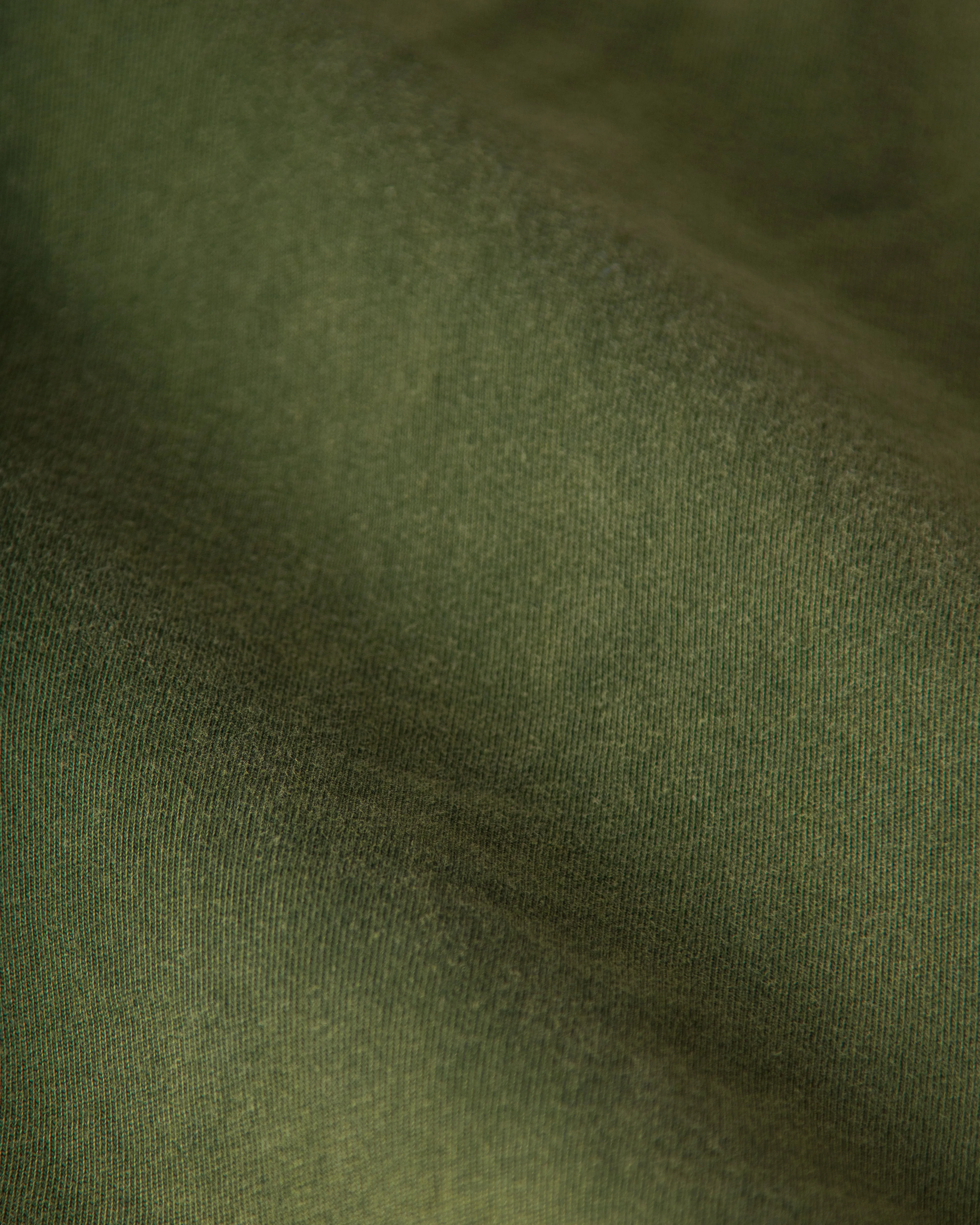 Long Sleeve Salt Washed Polo in Moss style vibe