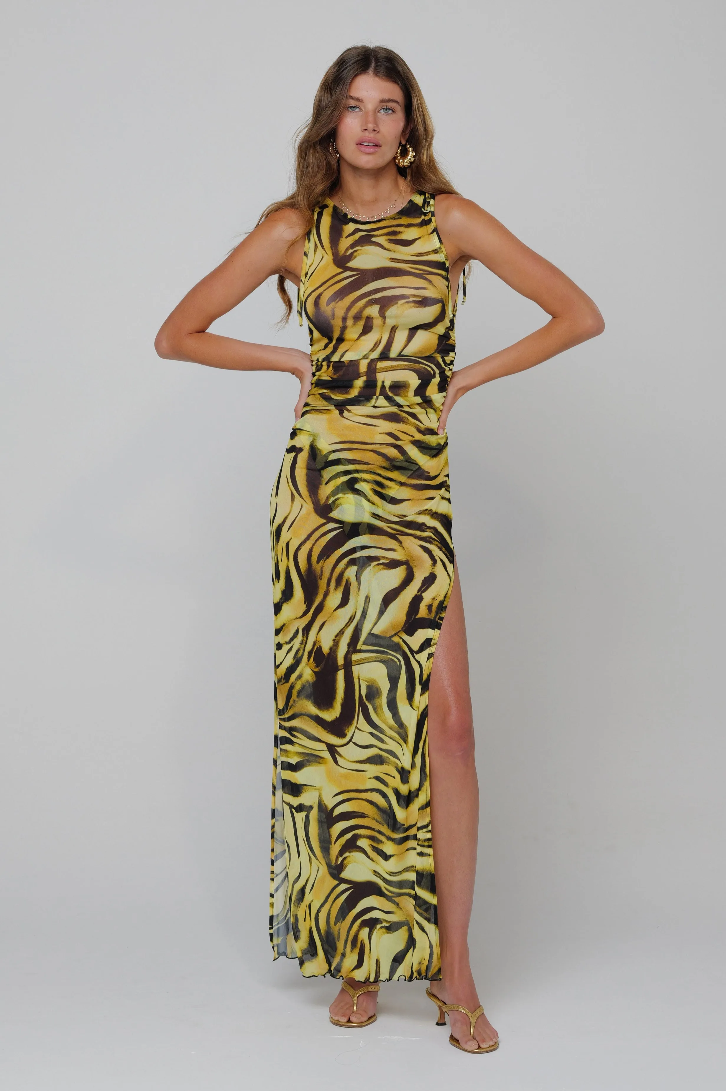 Paige Dress in Lioness classic design