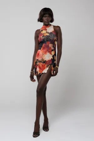 Savannah Mini in Muse must have
